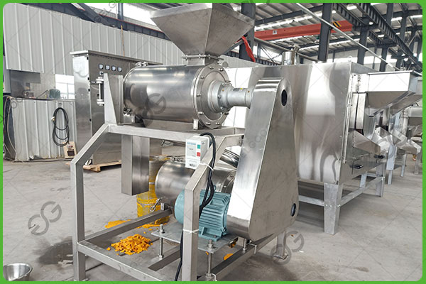 guava fruit pulping machine