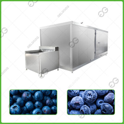 frozen blueberry machine