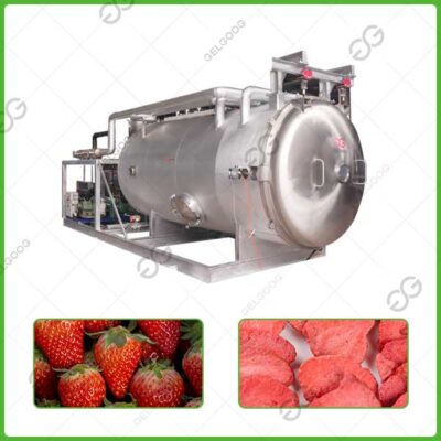 freeze dried machine