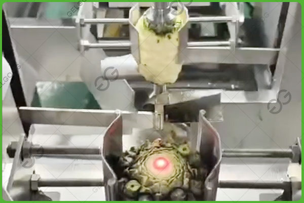 pineapple core remove machine