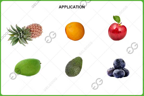 sorting machine application