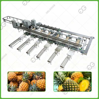 automatic sorting system