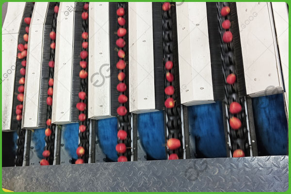 automatic fruit sorting machine