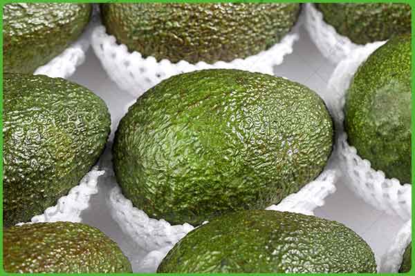 sorting and grading of avocado