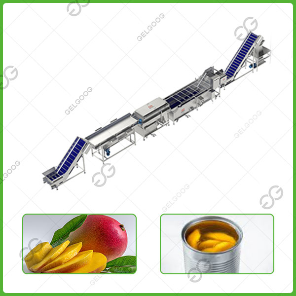 lini produksi potongan mangga kalengan