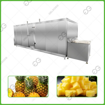 Туннельный морозильник iqf