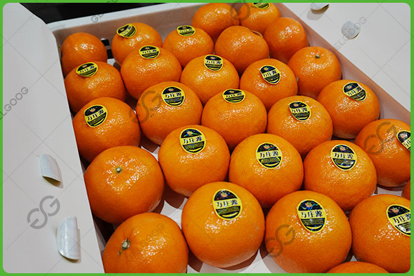 упаковка лимонов