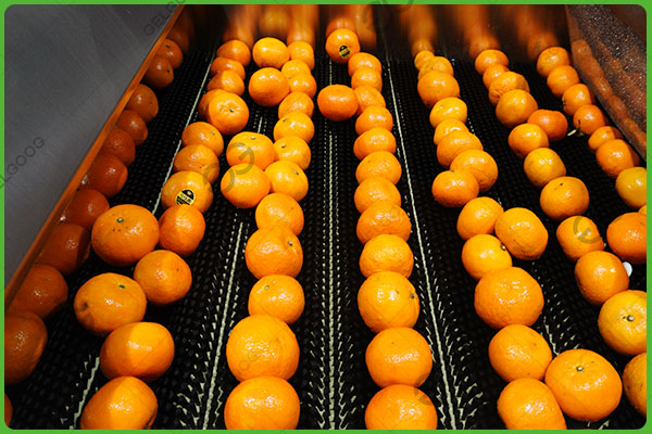 стиральная машина для лимонов