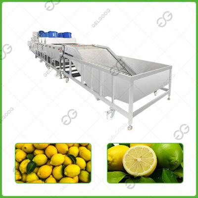 fruit washing line