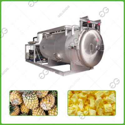 freeze dried fruit equipment