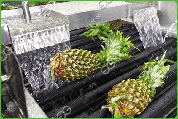 máquina de pasta de piña