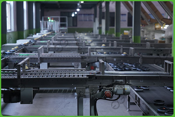 Машина для сортировки лимонов