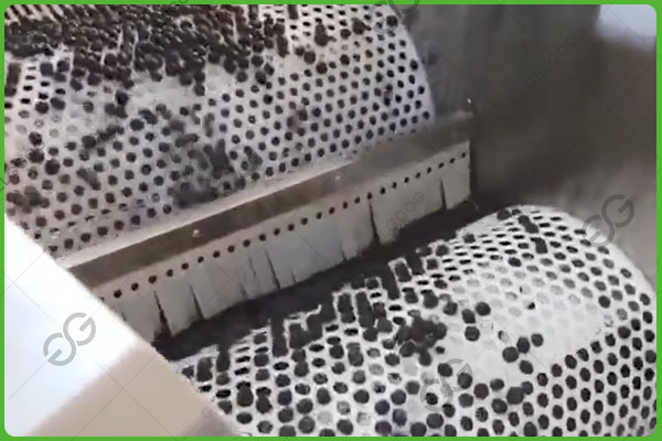 blueberry sorting equipment