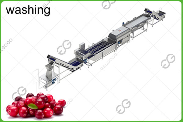 cranberry washing system