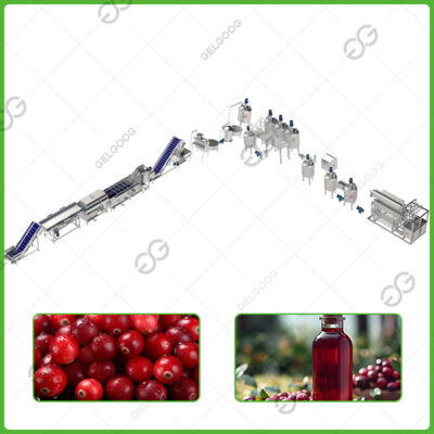 línea de producción de jugo de arándanos