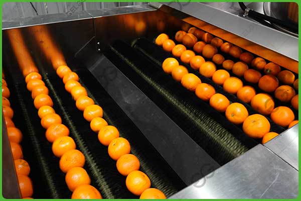 orange brix sorting machine