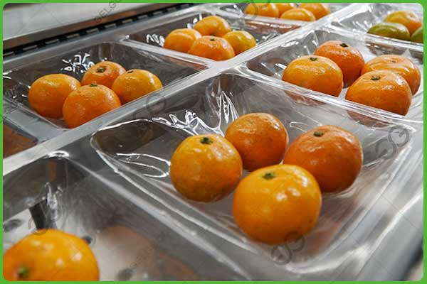 fruit export packing