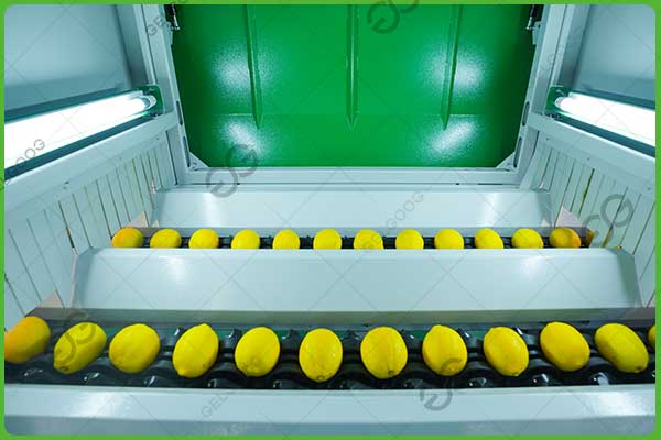 máquina clasificadora de limones