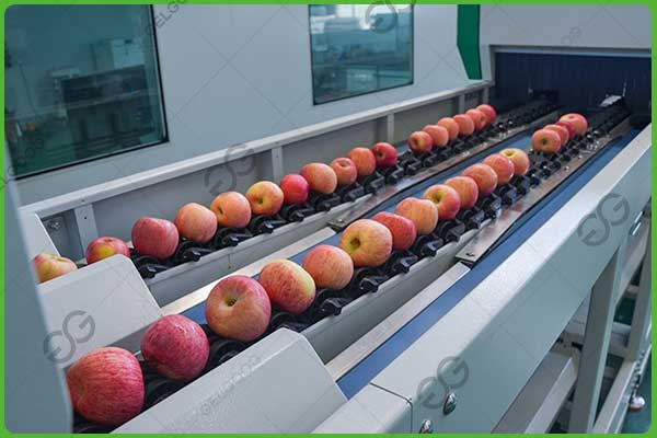 key purposes of fruit sorting