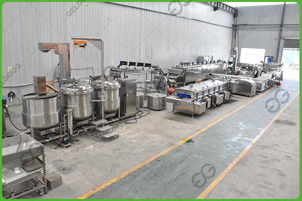 dried apricot factory