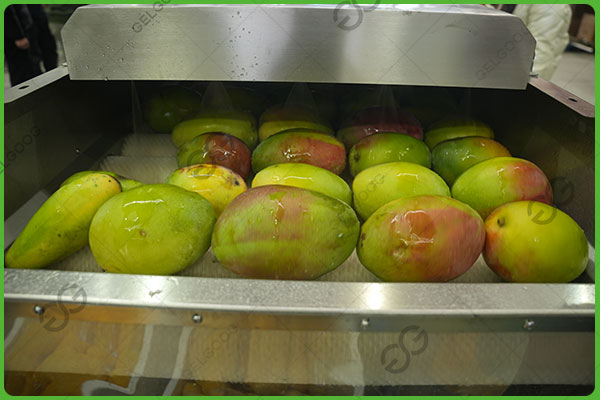 mango washing