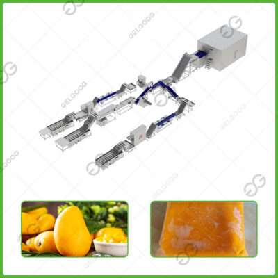 frozen mango pulp processing line