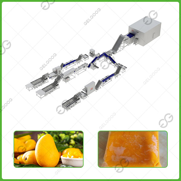 frozen mango pulp processing line