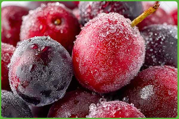 Cerezas IQF