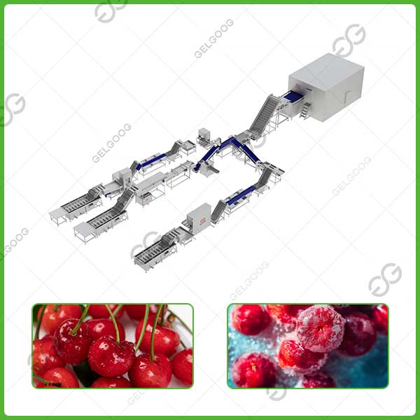 línea de procesamiento de cerezas congeladas