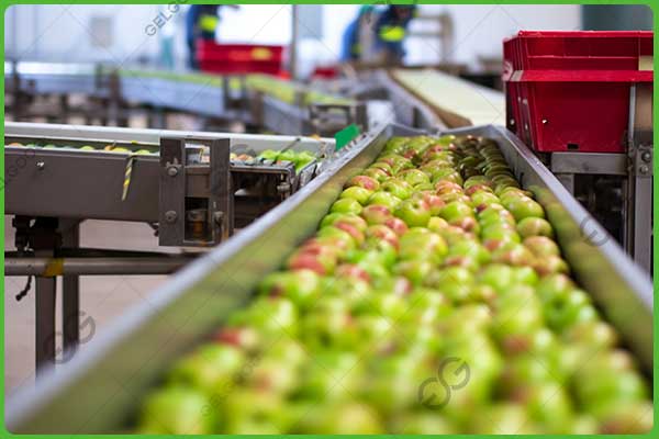 apple juice processing equipment