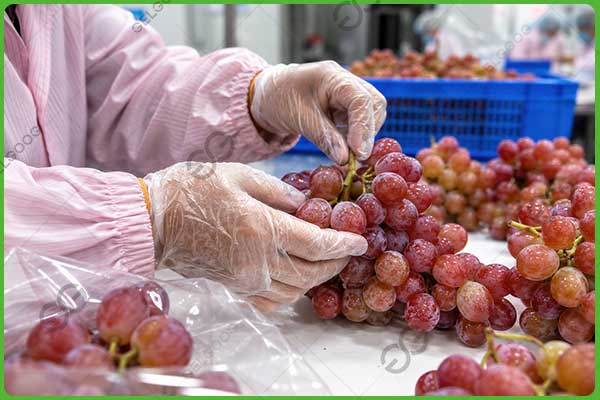 Máquina para hacer jugo de uva