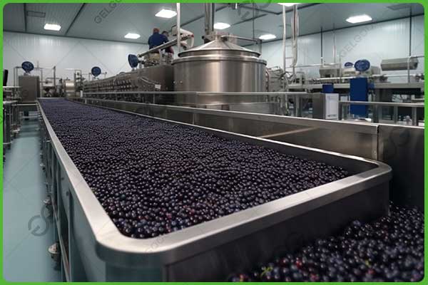 Fabrica de jugo de uva
